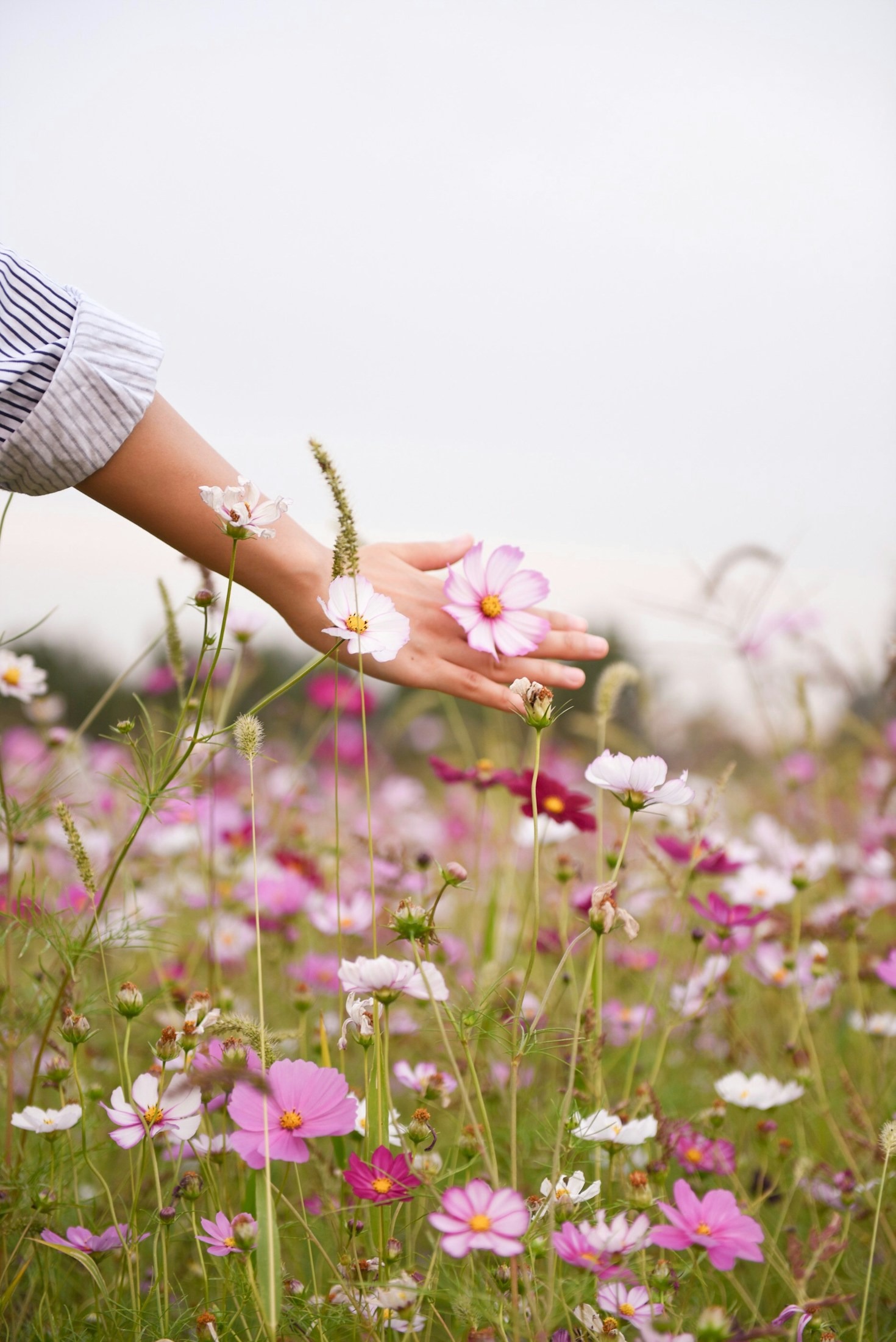 Energy Healing: Equilibrando Corpo e Mente